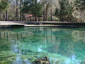 Springs
