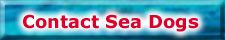 Contact Sea Dogs