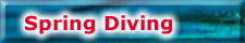 Spring Diving
