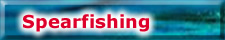 Spear Fishing