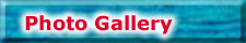 Photo Gallery